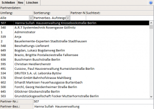 partnerdaten_DataView_frm_Partnerdaten